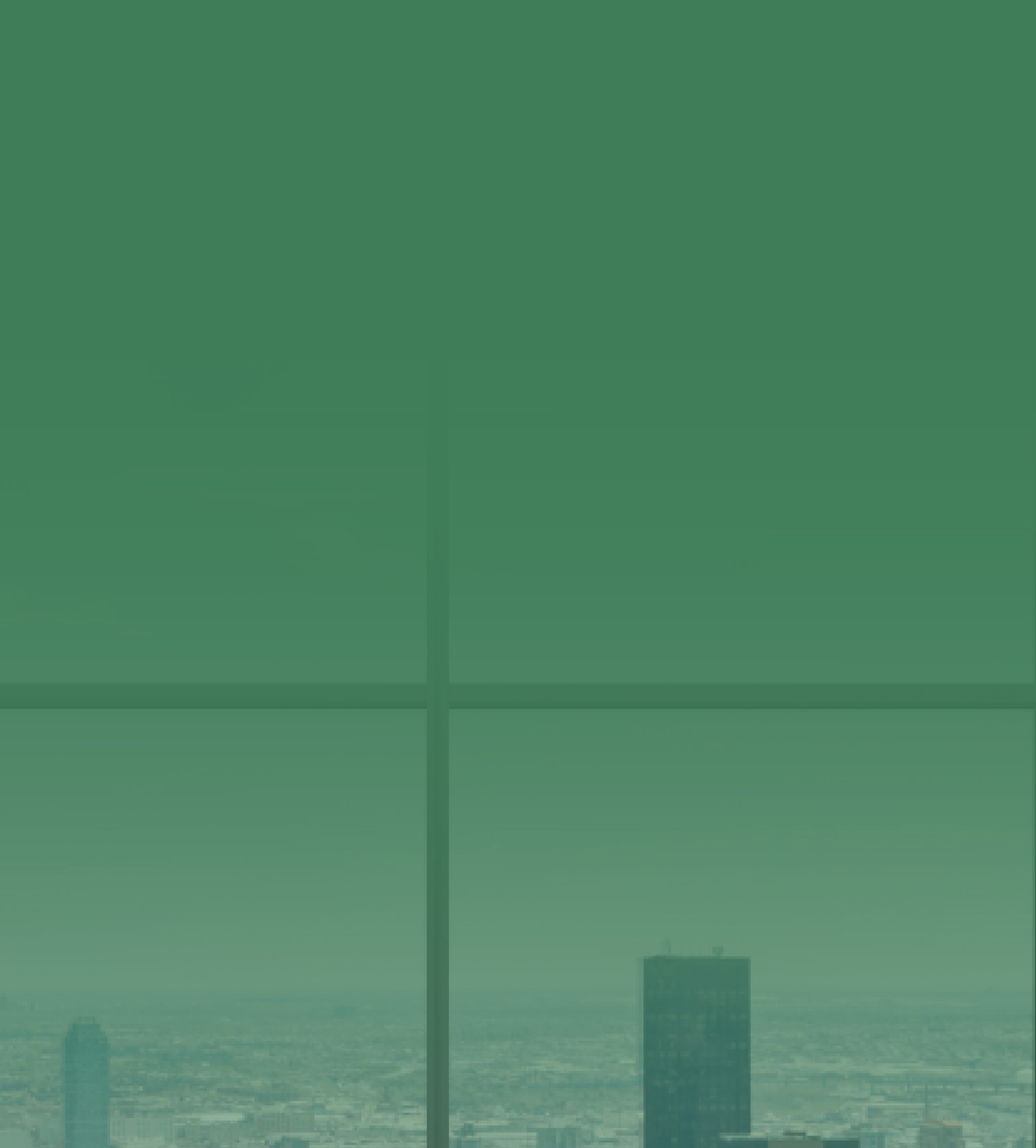 Banner 1